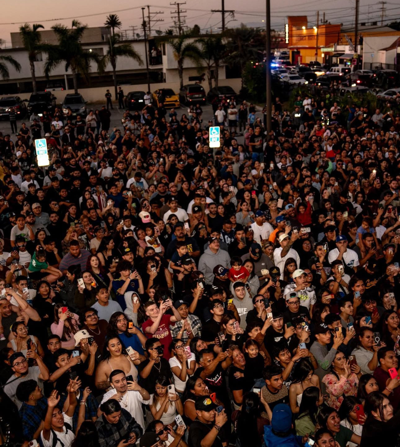 Youth Access to Festivals